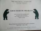 Gros ours du brabant. 