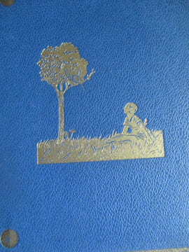Alice a travers le miroir. Lewis Carroll