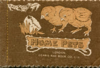 Home Pets