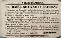 [INTERDICTION DE L'EMPLOI DES FUSÉES, PÉTARDS ET ARMES A FEU].
