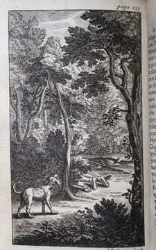 LES AMOURS PASTORALES DE DAPHNIS ET CHLOÉ. LONGUS