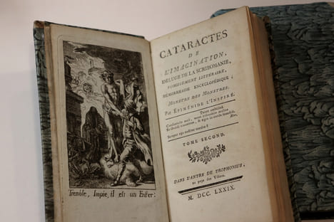 CATARACTES DE L'IMAGINATION, Déluge de le Scribomanie, Vomissement Littéraire, Hémorragie Encyclopédique, Monstre des Montres, par Épiménide ...