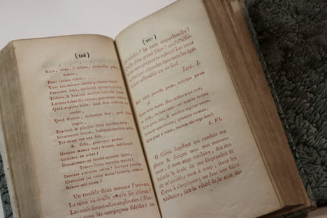 CATARACTES DE L'IMAGINATION, Déluge de le Scribomanie, Vomissement Littéraire, Hémorragie Encyclopédique, Monstre des Montres, par Épiménide ...
