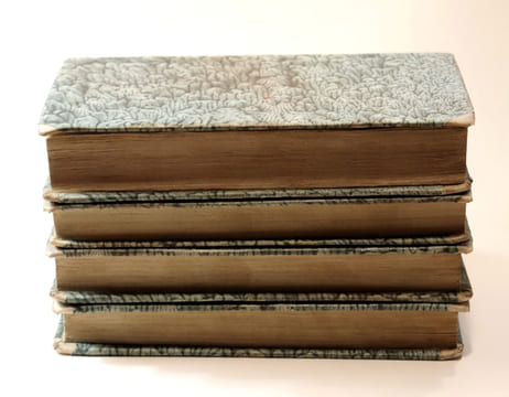 CATARACTES DE L'IMAGINATION, Déluge de le Scribomanie, Vomissement Littéraire, Hémorragie Encyclopédique, Monstre des Montres, par Épiménide ...