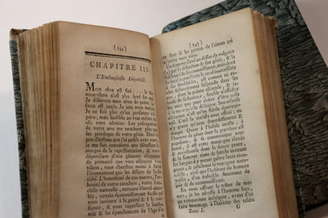 CATARACTES DE L'IMAGINATION, Déluge de le Scribomanie, Vomissement Littéraire, Hémorragie Encyclopédique, Monstre des Montres, par Épiménide ...