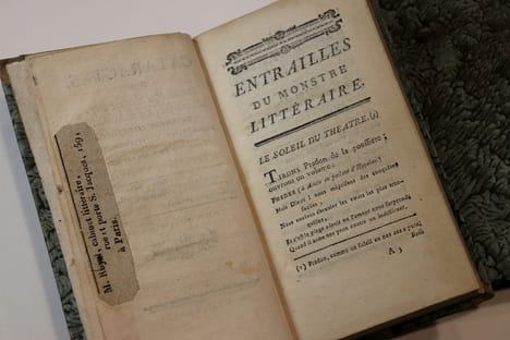 CATARACTES DE L'IMAGINATION, Déluge de le Scribomanie, Vomissement Littéraire, Hémorragie Encyclopédique, Monstre des Montres, par Épiménide ...