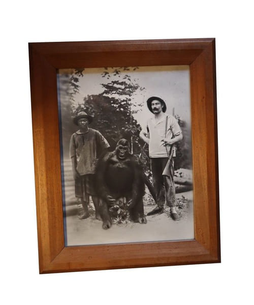 Photographie d'&eacute;poque Lac Zonangui Gorille chasse hunting troph&eacute;e Afrique. 