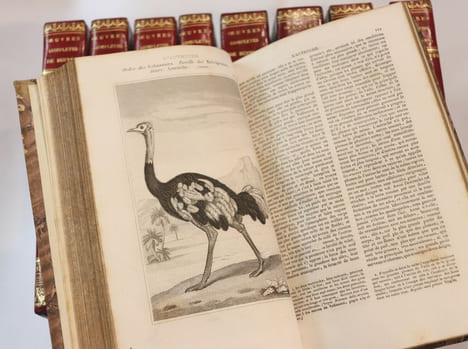 Oeuvres complètes de Buffon. Georges-Louis Leclerc, comte de Buffon