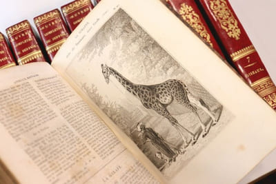 Oeuvres complètes de Buffon