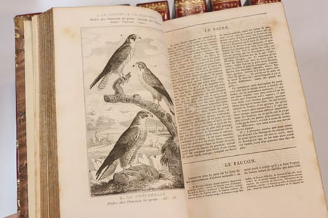 Oeuvres complètes de Buffon. Georges-Louis Leclerc, comte de Buffon