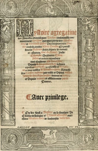 [Histoire agrégative des Annales et Chroniques d'Anjou ...] Hystoire agregative des Annalles et cronicques Danjou contenant le commencement et origine avecques partie des chevalleureux et marciaulx gestes des magnanimes princes consulz contes ducs Danjou. Et pareillement plusieurs faicts dignes de mémoire advenuz tant en France, Italie, Espaigne, Angleterre, Hierusalem et aultres royaumes tant chrestiens que sarrazins. Depuis le temps du déluge jusques à présent très utille proffitable et recreative à tous nobles et vertueux espritz. Recueillies et mises en forme par noble et discret messire Jehan de Bourdigne prestre, docteur es droict et depuis reveues et additionnées par le Viateur. Avec Privilege.