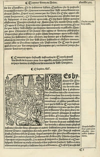 [Histoire agrégative des Annales et Chroniques d'Anjou ...] Hystoire agregative des Annalles et cronicques Danjou contenant le commencement et origine avecques partie des chevalleureux et marciaulx gestes des magnanimes princes consulz contes ducs Danjou. Et pareillement plusieurs faicts dignes de mémoire advenuz tant en France, Italie, Espaigne, Angleterre, Hierusalem et aultres royaumes tant chrestiens que sarrazins. Depuis le temps du déluge jusques à présent très utille proffitable et recreative à tous nobles et vertueux espritz. Recueillies et mises en forme par noble et discret messire Jehan de Bourdigne prestre, docteur es droict et depuis reveues et additionnées par le Viateur. Avec Privilege.