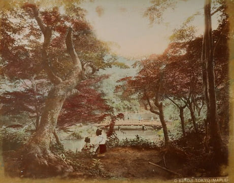Yokohama shashin ou Album de 50 photographies tirées sur papier albuminé contrecollées sur carton (recto et verso), sous plats épais en bois laqué ...