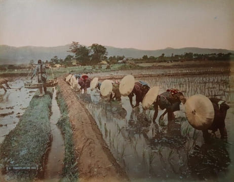 Yokohama shashin ou Album de 50 photographies tirées sur papier albuminé contrecollées sur carton (recto et verso), sous plats épais en bois laqué ...