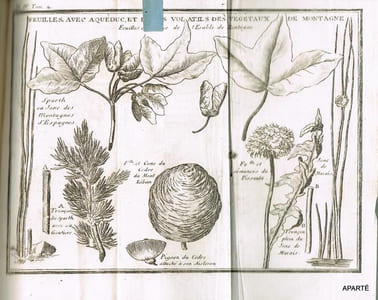 ÉTUDES de LA NATURE. Troisième édition, Revue, corrigée & augmentée. (Tomes I à IV).