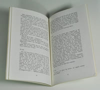 Un homme qui veille (récit-journal)