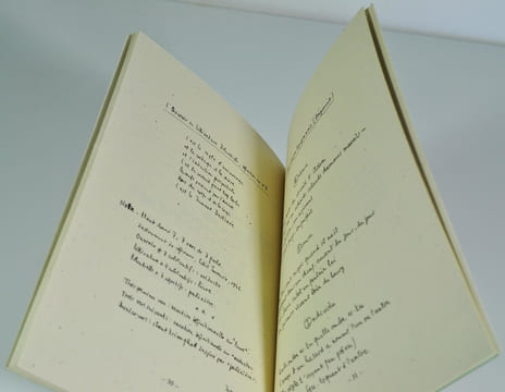 Cahiers Raymond Queneau n°20-21 "Dossiers Jean Queval et André Billy" + tiré à part "Jean Queval : témoignages et textes inédits". (Collectif) QUENEAU ...