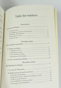 Jünger et ses dieux. Rimbaud, Conrad, Melville