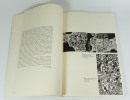 Catalogue des travaux de Jean Dubuffet. Fascicule XXI : "L"hourloupe II". (Collectif) Jean Dubuffet, Max Loreau, André Pieyre de Mandiargues, Georges ...