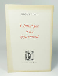 Chronique d'un égarement