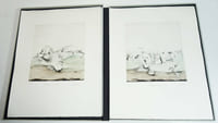 Landscapes