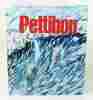Raymond Pettibon. (Collectif) Raymond Pettibon, Byron Coley, Ed Halter, Mike Kelley, Jonathan Lethem, Ralph Rugoff, Kitty Scott, Robert Storr