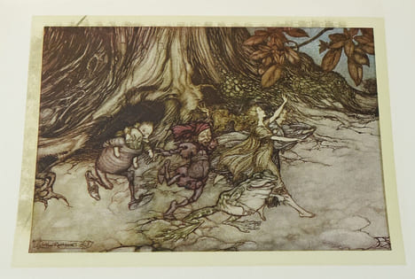 Piter Pan dans les jardins de Kensington. BARRIE J.M. - RACKHAM Arthur