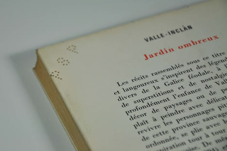 Jardin ombreux. Del VALLE-INCLAN Ramon