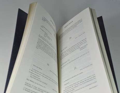 Frères d'armes de la révolution romantique - Lettres d'Alexandre Dumas au Baron Taylor et à Adrien Dauzats. SCHOPP Claude