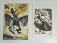 L'oiseau du mois