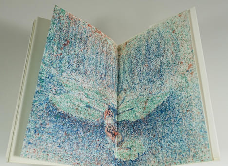 Le nymphéa et le confetti. MARTIN Yves - ZEIMERT Christian