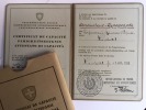 CERTIFICAT DE CAPACITÉ CONDUCTEUR TYPOGRAPHE . CONDUCTEUR TYPOGRAPHE 