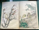 Quarante-huit faucons dessinés d'après nature. Nakayama Sugakudo (actif circa 1850 - 1860)