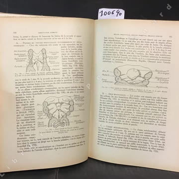 Embryologie humaine: notions d'embryologie générale et expérimentale, détermination du sexe et intersexualité, hérédité et génétique, principes ...