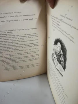 Les expédients de Farandole. PERRAULT Pierre - Henri Pille (illustrations par)