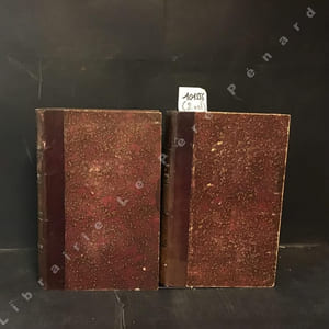 Philosophie Analytique de l'Histoire. Tome premier et tome second (2 volumes). Les idées - Les religion - Les systèmes (Livres I à livre VIII)