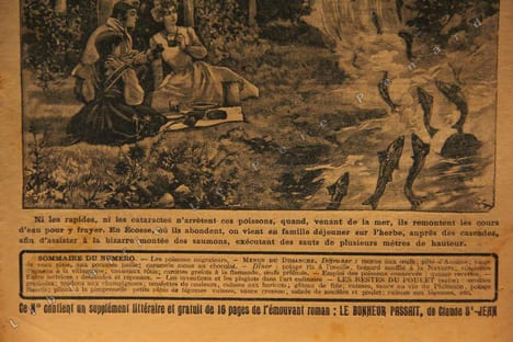 La Cuisine des Familles N° 92 : Les saumons remontant les cascades - .... La cuisine des familles - Recueil hebdomadaire de recettes d'Actualité très ...