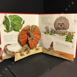 La Parade des Animaux (Pop-up)