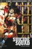 Suicide Squad - Discipline et Châtiment. GLASS, Adam (scénario) et DAGNINO, Fernando (dessin) - Collectif