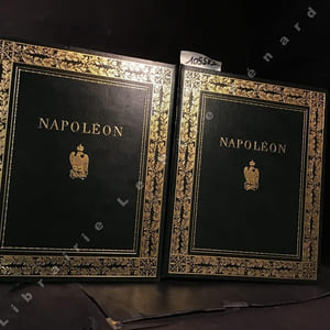 Napoléon et l'Empire. 1769 - 1815 - 1821