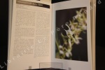 Beautiful orchids. Fascinantes orchidées du Sud Ouest de l'Océan Indien. PETITJEAN, Alain - PETITJEAN, Michèle