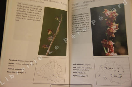 Atlas des orchidées d'Ariège