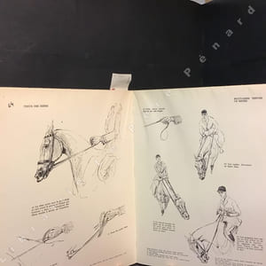 A cheval ma mie. 400 croquis légendés sur la pratique de l'équitation.