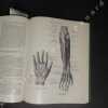 Anatomy of the human body. LOCKHART, Robert Douglas - HAMILTON, GIlbert Frewin - FYFE, Forest William