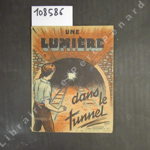 Collection Feu Nouveau N° 1 : Une lumière dans le tunnel