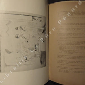 Collection de M. André G***. Beaux-Arts - Décoration - Modes - Livres illustrés - Architecture - Editions originales. Dessins et Gravures modernes. Idoles, masques et fétiches nègres