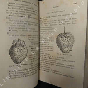 Traité de la culture fruitière, commerciale et bourgeoise