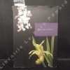 Orchideen. KUPPER, Walter - LINSENMAIER, Walter