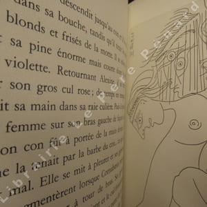 Oeuvres Poétiques. Tome I : Le Bestiaire. Alcools. Vitam Impendere Amori. Calliframmes. Il y a. + Tome II : Poèmes à Lou. Le guetteur mélancolique. Poèmes à Madeleine. Poèmes à la Marraine. Poèmes retrouvés. Poèmes inédits. + Tome III : L'enchanteur pourrissant. L'hérésiarque et cie. Le poète assassiné. Contes écartes. Contes retrouvés. + Tome IV : La femme assise. La fin de Babylone. Les trois Don Juan. La femme blanche des Hohenzollern. + Tome V : Les onze mille verges (5 volumes)