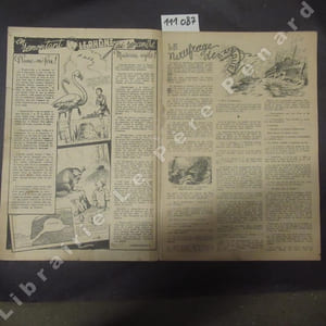 Coeurs Vaillants N° 13 : Electron Z (PATRICE) - En remontant le Rhône j'ai rencontré (Passe-Partout) - Le naufragé de l'Afrique (HERBE) - Tintin et le secret de la licorne (HERGE) - Le mystère du Val de la Muerte (HERBE) - L'énigme du Canyon Rouge - ...